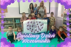 1009e2bc-2217-4ae7-a9e7-885e95006e04-—-kopia