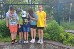 signal-2024-05-29-10-22-41-000-6