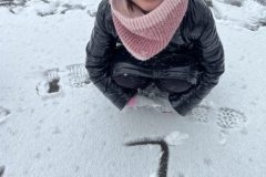 signal-2025-02-24-173657_024