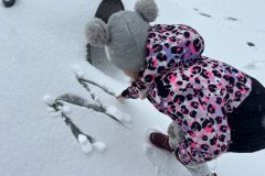 signal-2025-02-24-173657_026