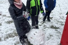 signal-2025-02-24-173657_028