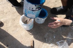 IMG_20220610_100429274