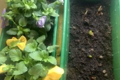 signal-2025-03-24-192012_025