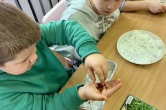 signal-2025-03-24-192043_005