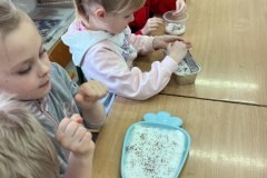 signal-2025-03-24-192043_006