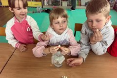 signal-2025-03-24-192043_010