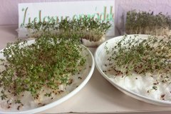 signal-2025-03-24-192043_013