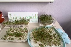 signal-2025-03-24-192043_014