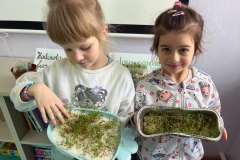 signal-2025-03-24-192043_015