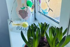 signal-2025-03-24-192043_017