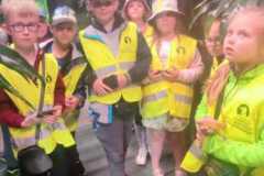 IMG-20220621-WA0006