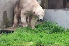 IMG-20220621-WA0010