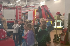 signal-2025-09-29-104828_020