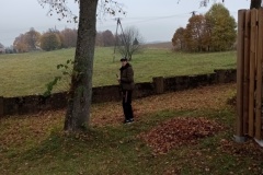 IMG_20221015_095052655_MFNR