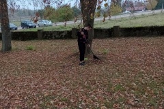 IMG_20221015_095412236_MFNR