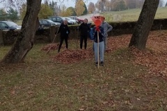 IMG_20221015_095459589_MFNR