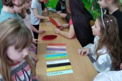 IMG_20221129_090604