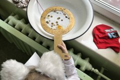 signal-2024-11-29-091051_005