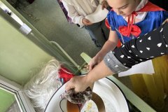 signal-2024-11-29-091051_024