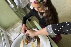 signal-2024-11-29-091051_026