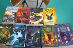 IMG-20201019-WA0031