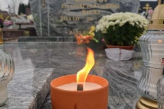 06d3f50a-a067-4bb9-a998-f0c5898d1184