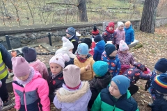 1794532d-5413-446c-b771-6424a9350a10