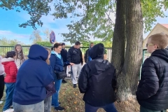 signal-2025-10-01-145235_005