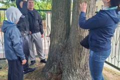 signal-2025-10-01-145235_006