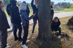 signal-2025-10-01-145235_008