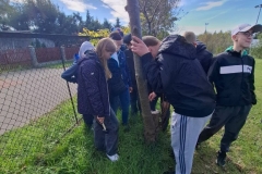 signal-2025-10-01-145235_014