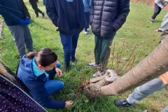 signal-2025-10-01-145235_016