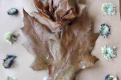 IMG-20221103-WA0007