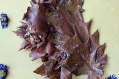 IMG-20221103-WA0009