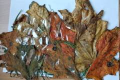 IMG-20221103-WA0018
