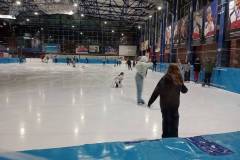 signal-2024-12-12-170722_002