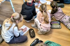 signal-2026-02-20-084812_003