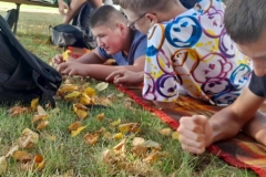 signal-2025-09-05-124114_002