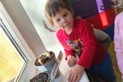 signal-2025-03-24-192012_002