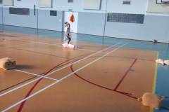 signal-2024-11-25-103533_006