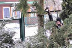 signal-2025-01-09-131331_011