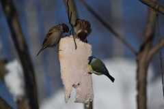 IMG-20210208-WA0006