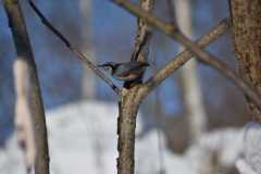 IMG-20210208-WA0007
