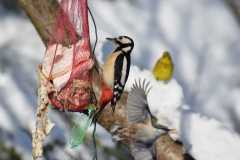 IMG-20210208-WA0008
