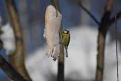 IMG-20210208-WA0010