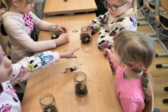 signal-2026-03-27-09-26-23-087-15