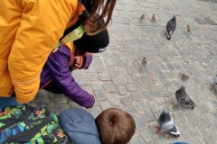 IMG_20220930_162556075_HDR