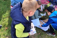 signal-2025-09-19-10-41-50-559-3