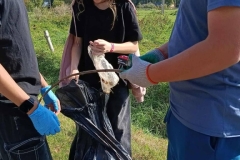 signal-2025-09-19-12-19-15-780-3