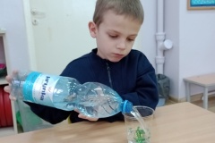 IMG_20250228_081343684_MFNR